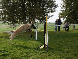 Les Concours