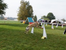 Les Concours