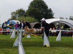 Les Concours