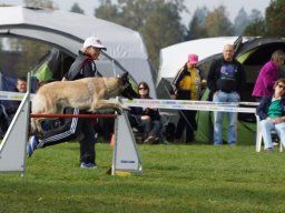Les Concours