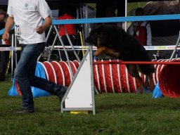 Les Concours