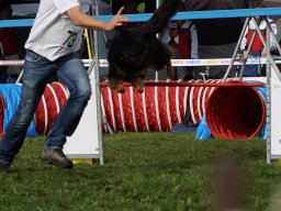Les Concours
