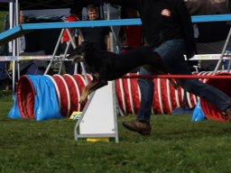 Les Concours
