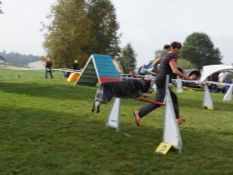 Les Concours
