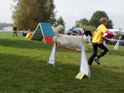 Les Concours