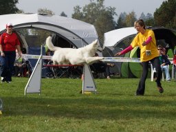 Les Concours