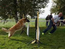 Les Concours