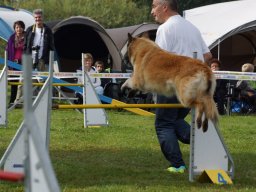 Les Concours
