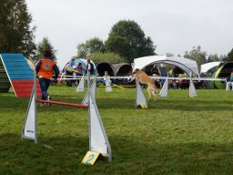 Les Concours
