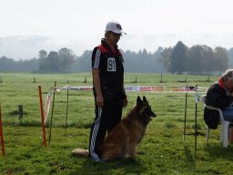 Les Concours