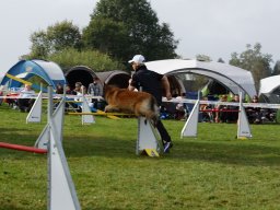 Les Concours