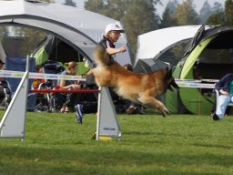 Les Concours