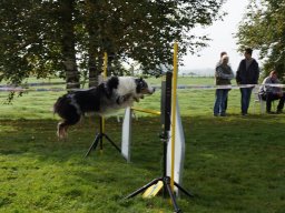 Les Concours