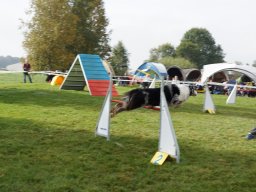 Les Concours