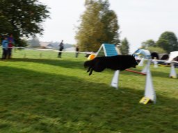 Les Concours