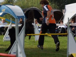 Les Concours
