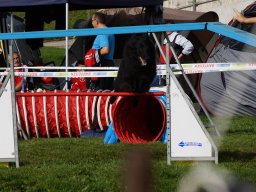 Les Concours