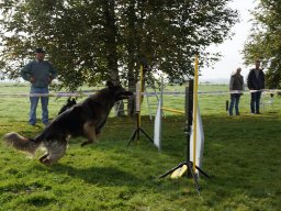 Les Concours
