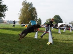 Les Concours