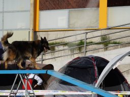 Les Concours