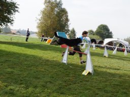 Les Concours