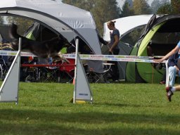Les Concours