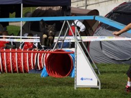 Les Concours