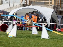 Les Concours