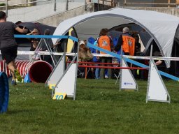 Les Concours