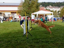 Les Concours