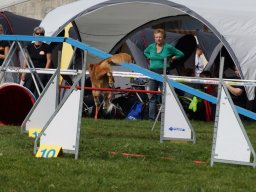 Les Concours