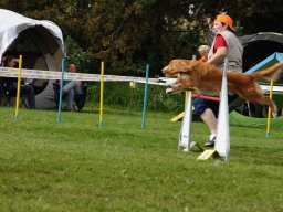 Les Concours