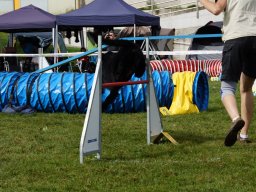 Les Concours