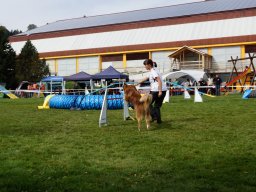 Les Concours