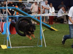 Les Concours