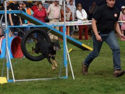 Les Concours