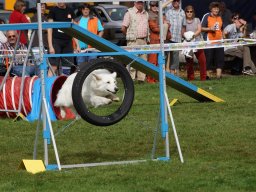 Les Concours