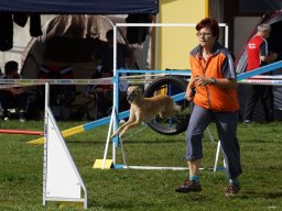 Les Concours