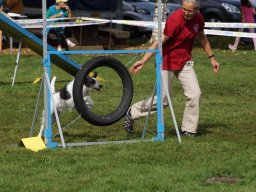 Les Concours