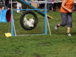 Les Concours