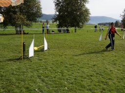 Les Concours