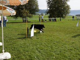 Les Concours