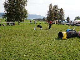 Les Concours