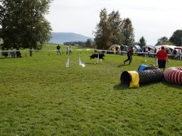 Les Concours