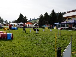 Les Concours