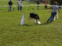 Les Concours