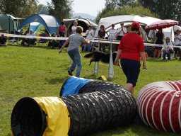 Les Concours