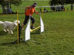 Les Concours