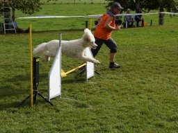 Les Concours
