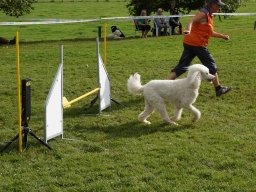 Les Concours